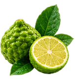 Bergamote