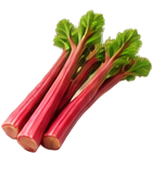 Rhubarbe