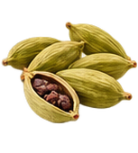 Cardamome