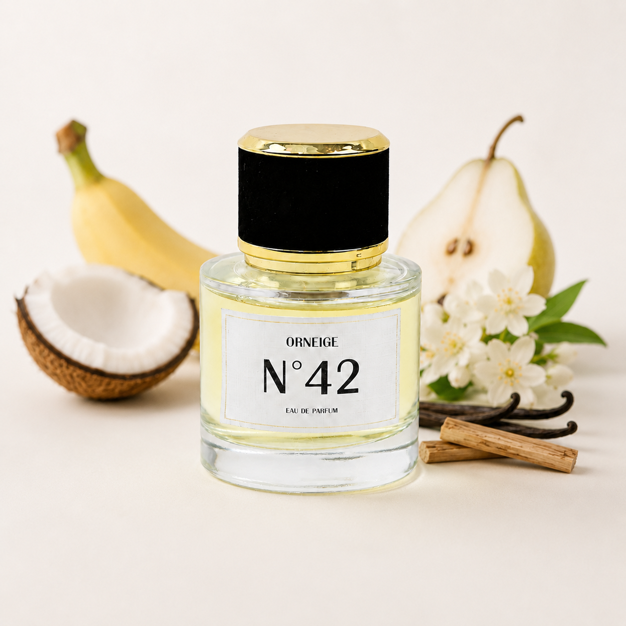 ORNEIGE N°42