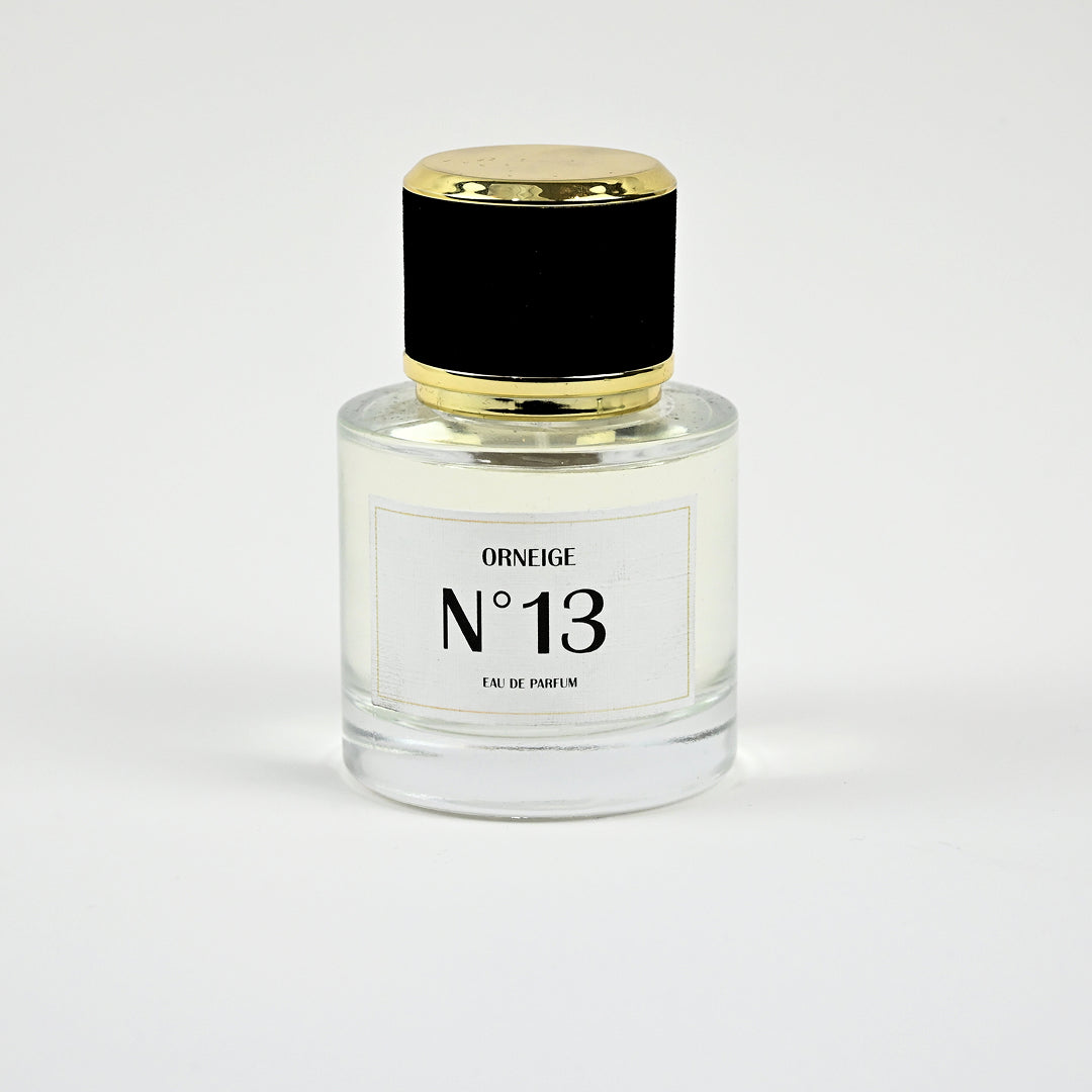 ORNEIGE N°13