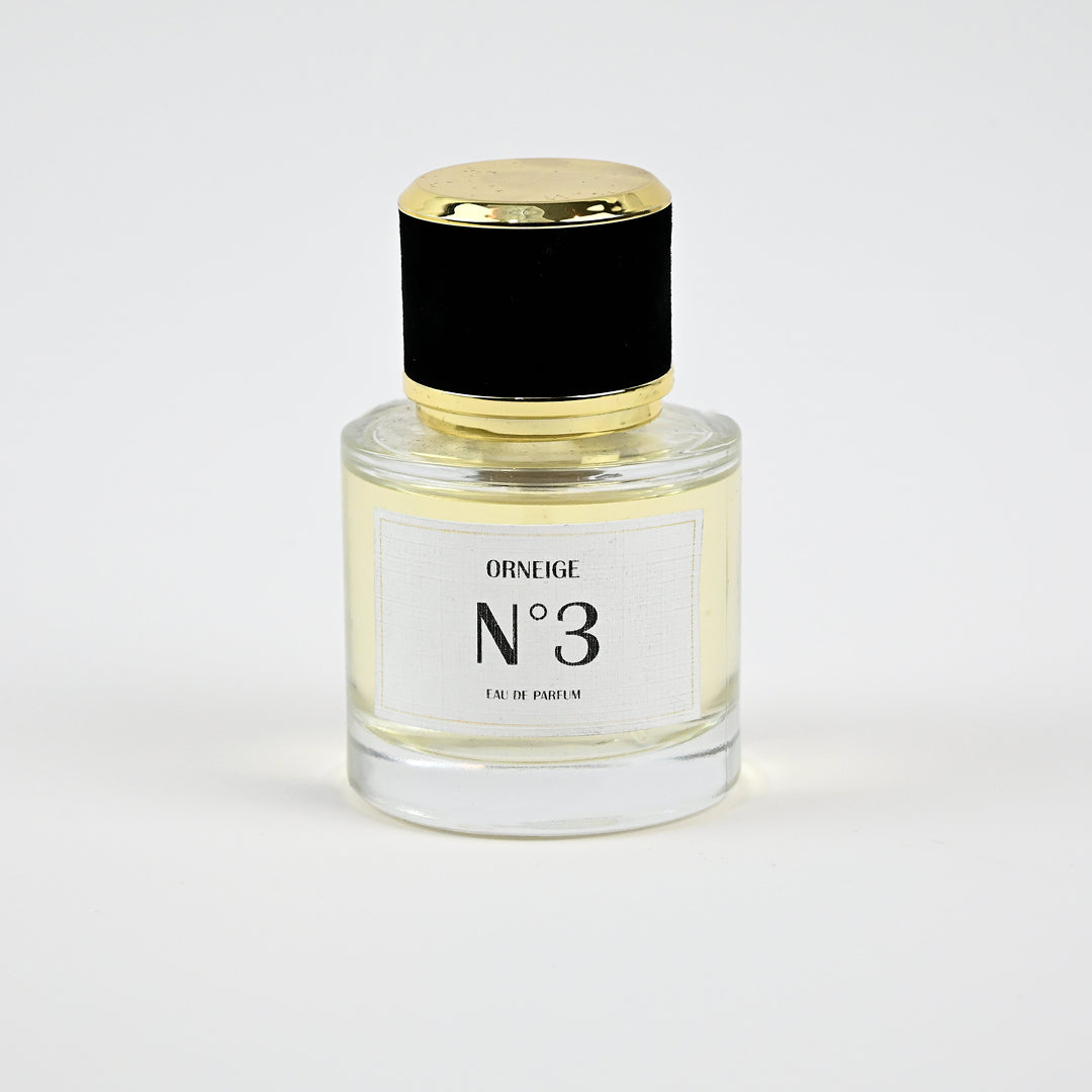 ORNEIGE N°3 