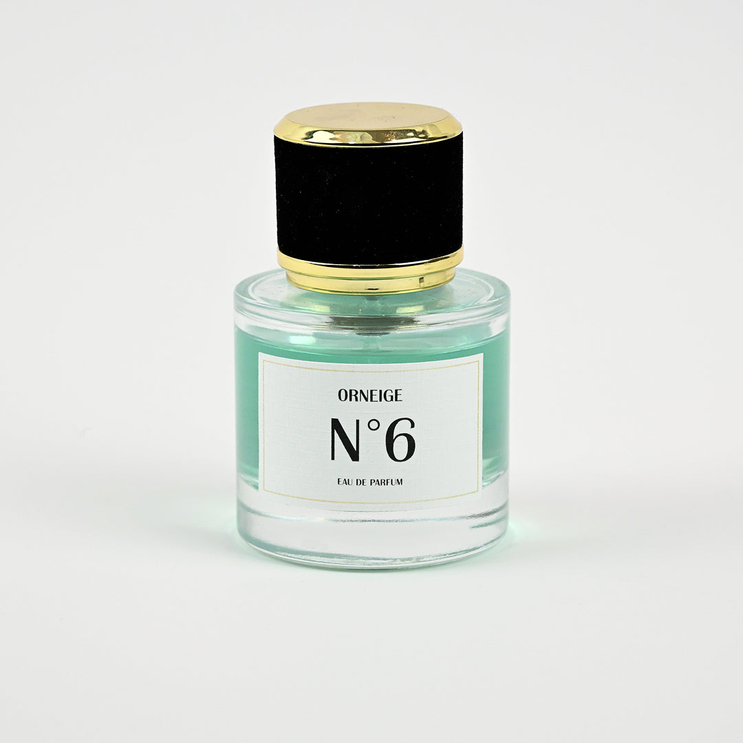ORNEIGE N°6