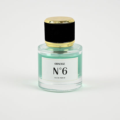 ORNEIGE N°6